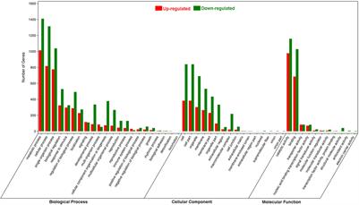 Characterization of a Novel Insect-Induced Sesquiterpene Synthase GbTPS1 Based on the Transcriptome of Gossypium barbadense Feeding by Cotton Bollworm